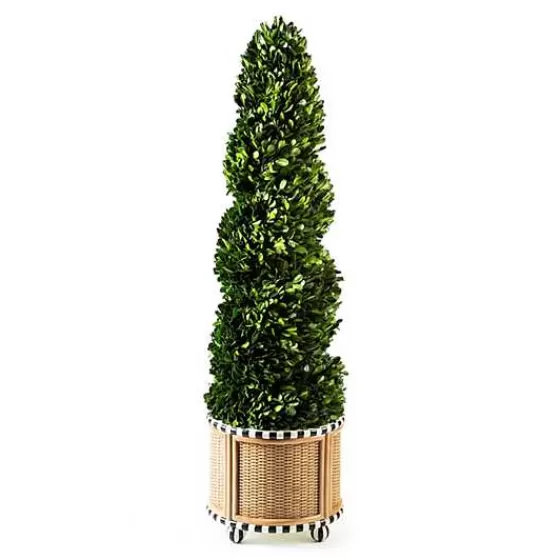 Basket Weave Spiral Medium Boxwood Topiary-MacKenzie-Childs Shop