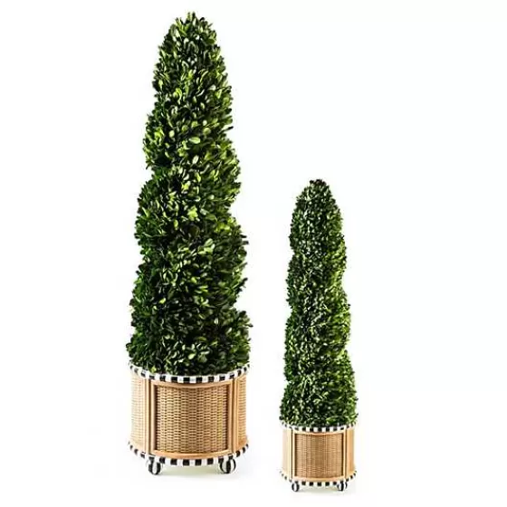 Basket Weave Spiral Medium Boxwood Topiary-MacKenzie-Childs Shop